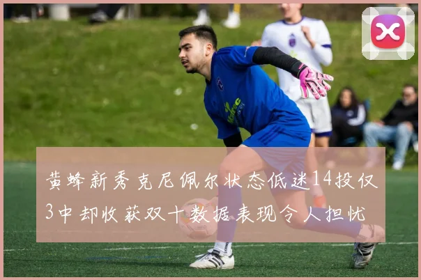 黄蜂新秀克尼佩尔状态低迷14投仅3中却收获双十数据表现令人担忧