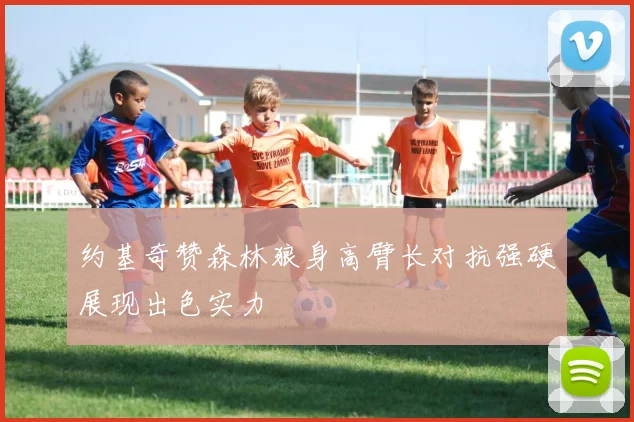 约基奇赞森林狼身高臂长对抗强硬展现出色实力